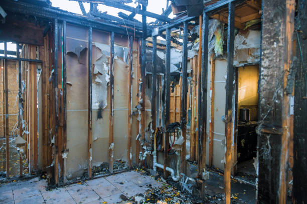 Professional Smoke Damage Removal technician working in Bayport, MN